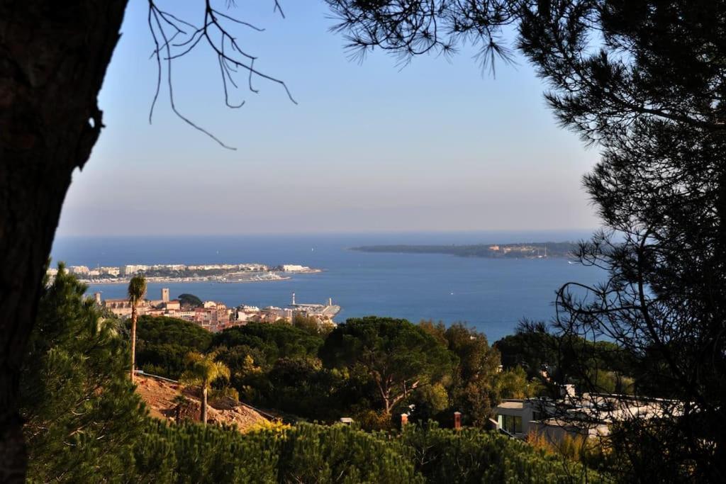 Cannes Beach And Festival Palais Экстерьер фото