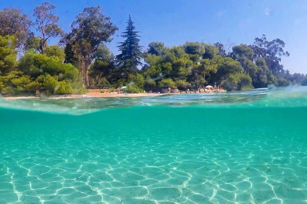 Cannes Beach And Festival Palais Экстерьер фото